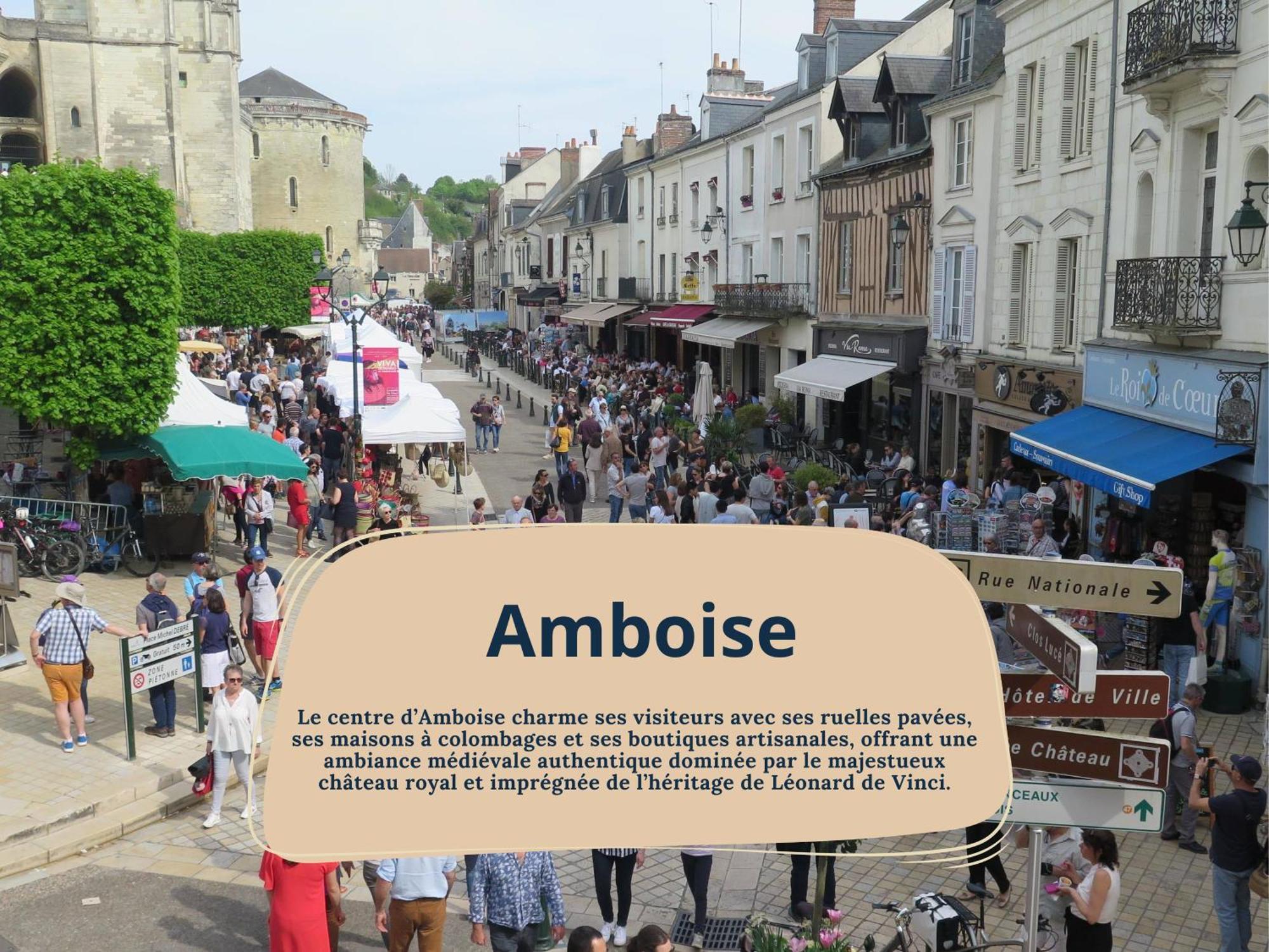 Apartment Rabelais - A 5min Du Chateau D'amboise